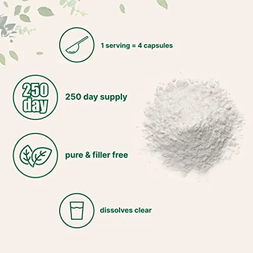 Pure L Serine Powder, 500 Grams (250 Day Supply), Filler Free, Supports Production Micro Ingredients Au supplements