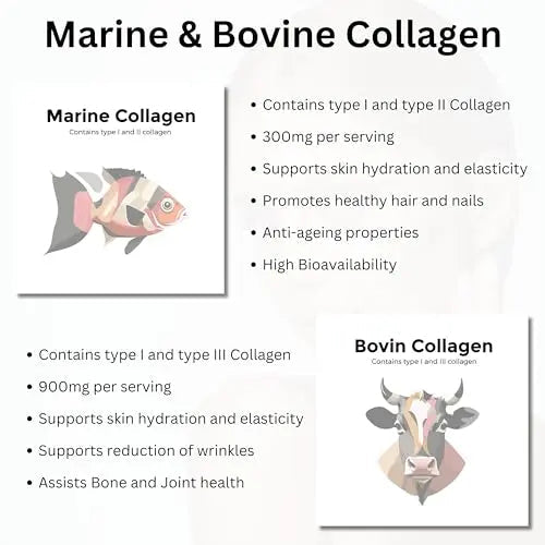 Re-Coll 1200mg Collagen Capsules - High Strength Supplement with Hyaluronic Acid - for Hair Skin Re-Coll Au supplements