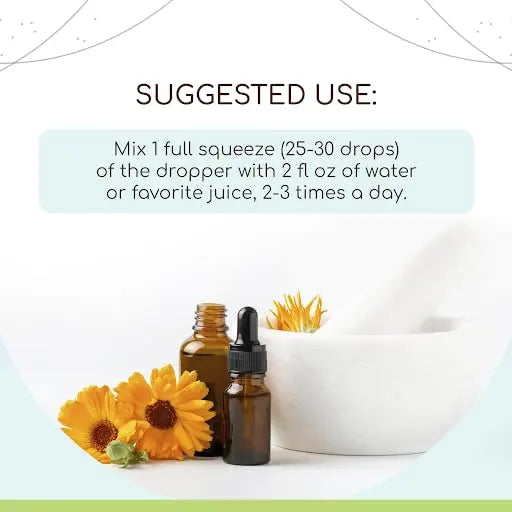 Barberry Root B120 Alcohol-Free Herbal Extract Tincture, Concentrated Liquid Drops Natural Barberry HerbEra Au supplements