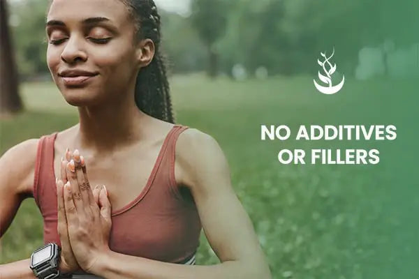 PURE ORIGINAL INGREDIENTS Yerba Mate (365 Capsules), No Magnesium Or Rice Fillers PURE ORIGINAL INGREDIENTS Au supplements