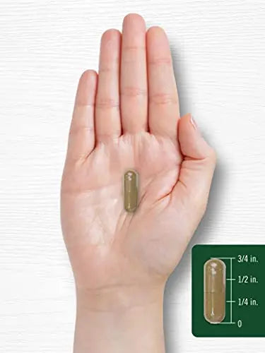 Carlyle Dandelion Root Capsules 1800mg | 300 Count | Non-GMO, Gluten Free Carlyle Au supplements