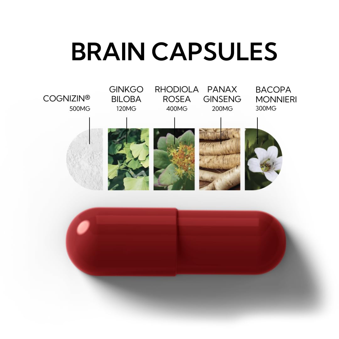 Neutonic Nootropic Brain Supplement | 1 Month Supply 90 Capsules | for Men and Women | Support Memory, Mental Clarity, Cognitive Function | Boost Focus, Energy, Brain Health Neutonic Au supplements