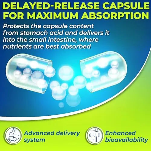 Probiotics with Digestive Enzymes and Prebiotic for Women and Men - 3-In-1 Vegan Probiotic SUPPLEMENTS STUDIO Au supplements