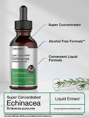 Echinacea Drops Liquid Extract | 2 fl oz | Super Concentrated Tincture | Alcohol Free Horbäach Au supplements
