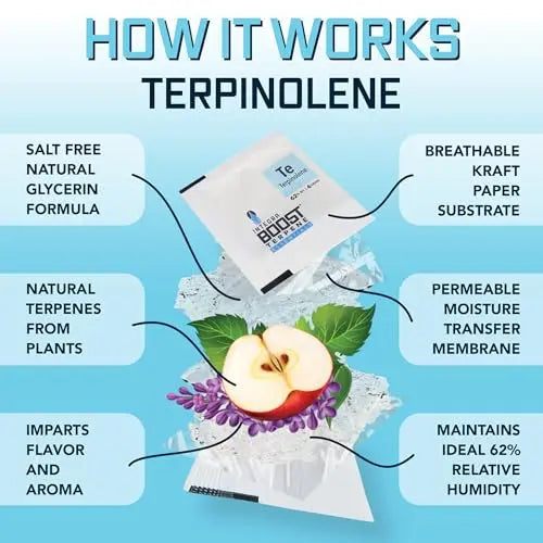 Integra Boost - Terpinolene Infusion - 4 Gram Terpene Essentials Two-Way Humidity Control at 62 Percent RH Integra Boost Au supplements