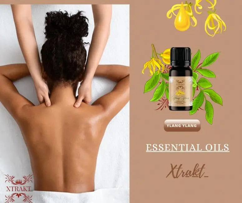 XTRAKT Pure Rose Essential Oil - Therapeutic Grade Aromatherapy Oil for Elegance and Emotional Balance XTRAKT Au supplements