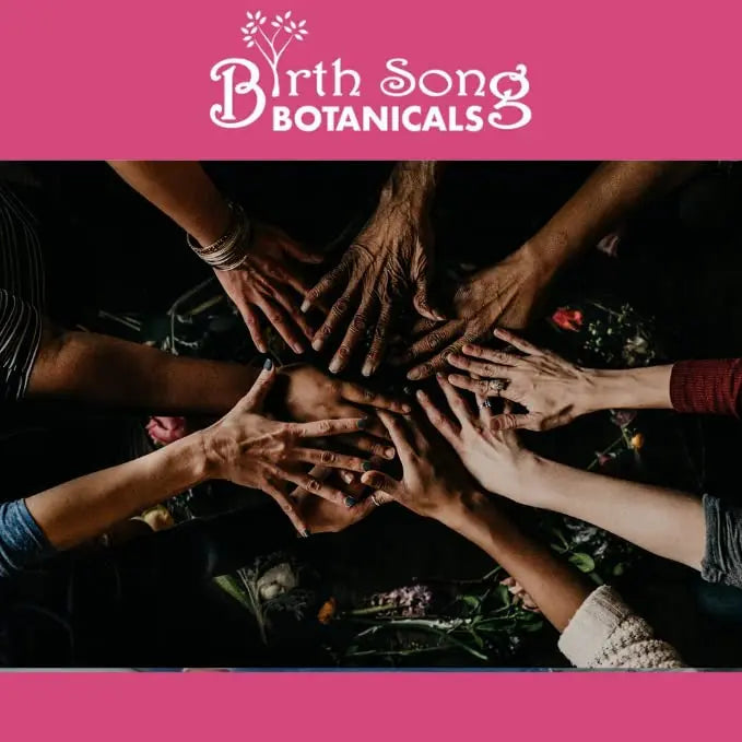 Birth Song Botanicals Menstrual Harmony Tincture, Herbal Period Symptom Support Birth Song Botanicals Au supplements