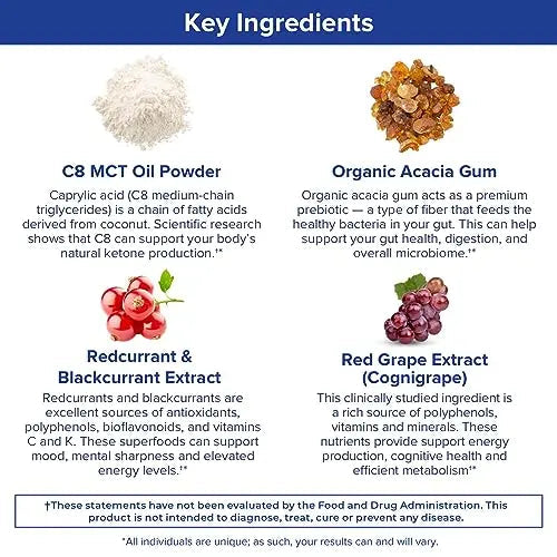 Gundry MD MCT Wellness Powder to Support Energy, Ketone Production and Brain Health Gundry MD Au supplements