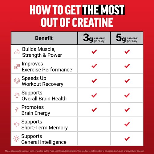 Force Factor Creatine Monohydrate Gummies, NSF Certified, 5g Dose for Men & Women to Support Muscle, Strength, Recovery, Cognitive Health & Memory, Packaging May Vary, Blue Raspberry, 150 Gummies Force Factor Au supplements