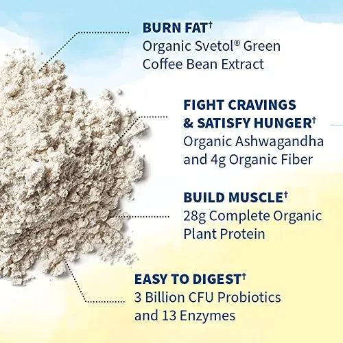Garden of Life Raw Organic Fit Vegan Protein Powder Vanilla, 28g Plant Based Protein Garden of Life Au supplements