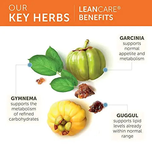 Himalaya LeanCare with Garcinia Cambogia for Weight Management, 600 mg, 1 Month Supply Himalaya Herbal Healthcare Au supplements