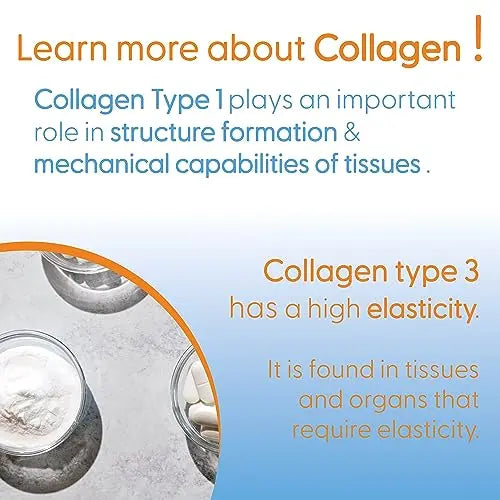 Doctor's Best, Pure Collagen Type 1 and 3 (Collagen Type 1 and 3), 200g Powder Doctor's BEST Au supplements