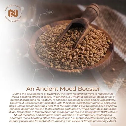 Nootropics Depot Fenugreek Extract Capsules | 500mg | 60 ct | 2.5% Trigonelline Nootropics Depot Au supplements