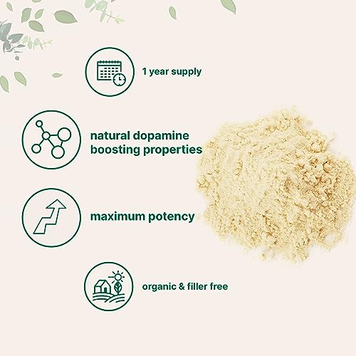 Micro Ingredients Organic Mucuna Pruriens Extract Powder,1 Pound (908 Servings) Micro Ingredients Au supplements