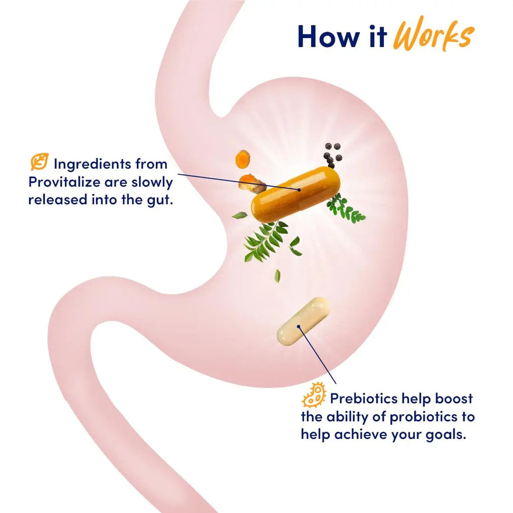 Better Body Co. Original Slim Gut Bundle | Provitalize & Previtalize Bundle - Natural Menopause Better Body Co. Au supplements
