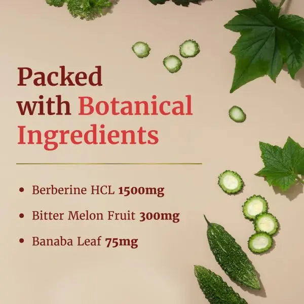 Berberine HCL 1500mg for Weight Management | Botanical Keto Inducing Berberine Supplement Nobi Nutrition Au supplements