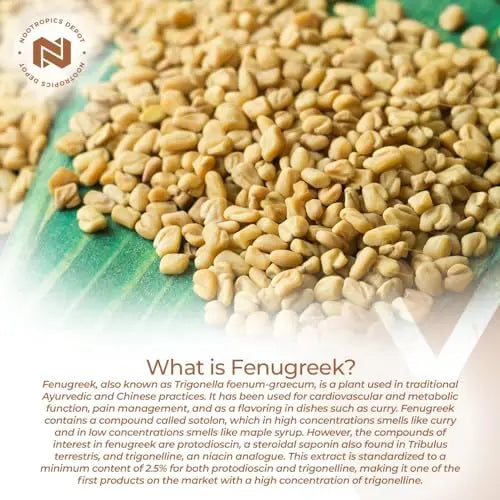 Nootropics Depot Fenugreek Extract Capsules | 500mg | 60 ct | 2.5% Trigonelline Nootropics Depot Au supplements