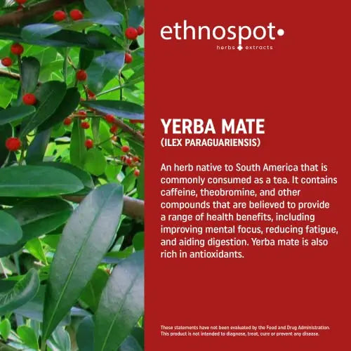 Full Spectrum Yerba Mate Capsules - Boosts Energy & Mental Focus - Supports Health Ethnospot Au supplements