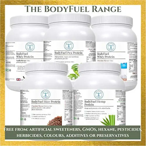 Complementary Supplements - BodyFuel Whey Protein Isolate & Concentrate Chocolate Flavour Complementary Supplements Au supplements