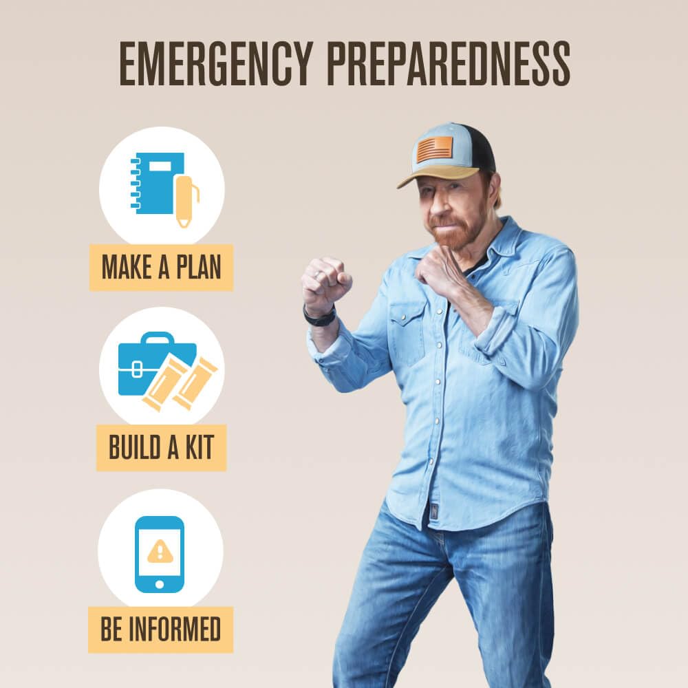 Roundhouse Provisions by Chuck Norris Emergency Food Bars - High Calorie Lemon Shortbread, 14 Vitamins & Minerals - Whole Grain Sorghum, 5-Year Shelf Life - Survival Rations for Crisis & Adventure ROUNDHOUSE PROVISION Au supplements