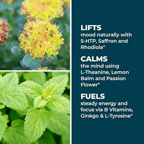 LifeSeasons - Mood Stabili-T - Positive Mood Booster - Enhanced Calmness and Happiness - Relaxed and Balanced Mind LifeSeasons Au supplements