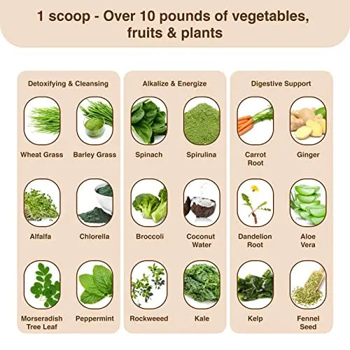 Detox Organics Chocolate Superfood Powder, Detox Cleanse for your Body, Bloating Relief Detox Organics Au supplements