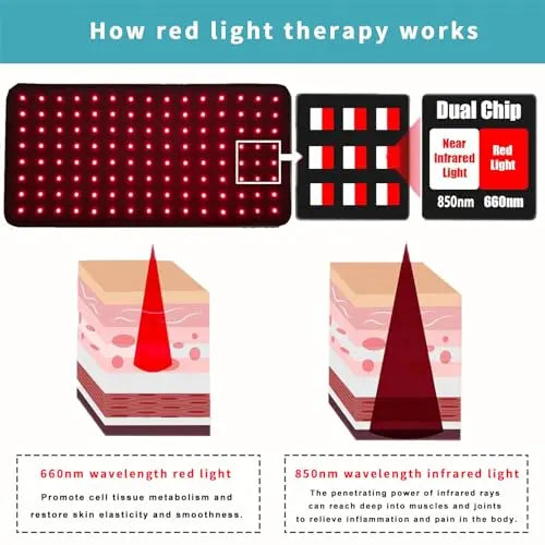 RJOYBAO Red Light Therapy Infrared Light Therapy Belt for Body,Red Light Therapy lamp RJOYBAO Au supplements