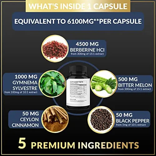 BMVINVOL 5-in-1 Berberine Supplement 6100mg with Ceylon Cinnamon, Gymnema Sylvestre BMVINVOL Au supplements
