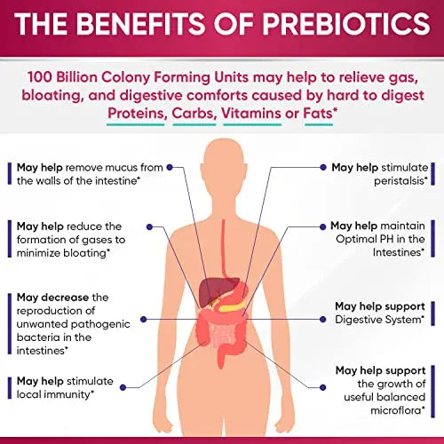 Dr. Formulated Raw Probiotics for Women 100 Billion CFUs with Prebiotics Wholesome Wellness Au supplements