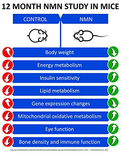 MAAC10 NMN Supplement Real Nicotinamide Mononucleotide (NMN 125mg Capsules). The Most Powerful NAD+ Precursor More Stable Than Riboside. We use 99% Pure Pharmaceutical Grade Stabilized NMN (30 Count) MAAC10 Au supplements