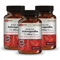 DailyNutra KSM-66 Ashwagandha 600mg Organic Root Extract - High Potency Supplement DailyNutra Au supplements