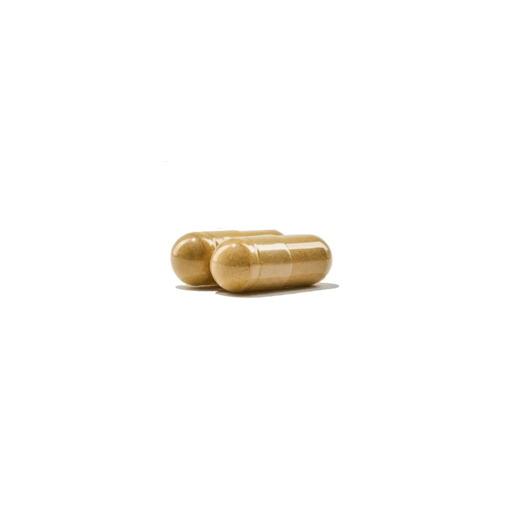 NatureWise Multivitamin for Men - Daily Male Support - Minerals & Herbs for Energy, Performance, Immunity - with Vitamin A, C, D, B-Complex NatureWise Au supplements