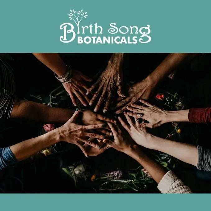 Birth Song Botanicals Fertile Ground Fertility Liquid Tincture, Herbal Supplement to Help Regulate Birth Song Botanicals Au supplements