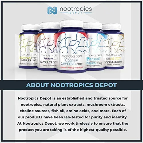 Nootropics Depot Agmatine Sulfate Capsules | 250mg | 240 Count | Energy Supplement Nootropics Depot Au supplements