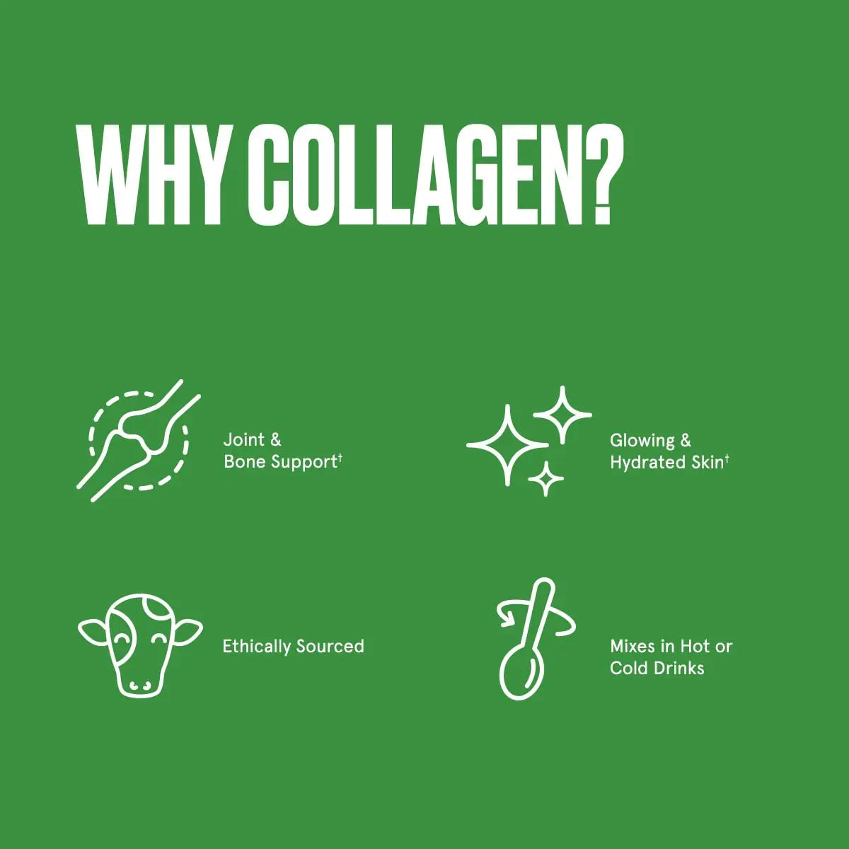 Bulletproof Unflavored Collagen Protein Powder, 17.6 Ounces, Grass-Fed Collagen Peptides Bulletproof Au supplements