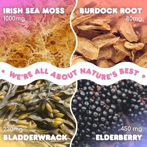 Biolore Sea Moss Gummies with Elderberry, Contains Irish Sea Moss, Organic Extract Biolore Au supplements