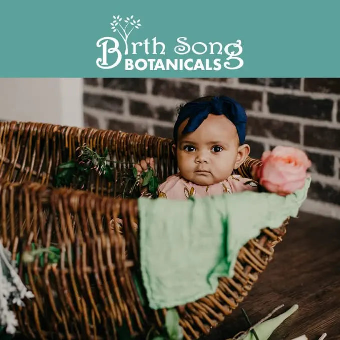 Birth Song Botanicals Fertile Ground Fertility Liquid Tincture, Herbal Supplement to Help Regulate Birth Song Botanicals Au supplements