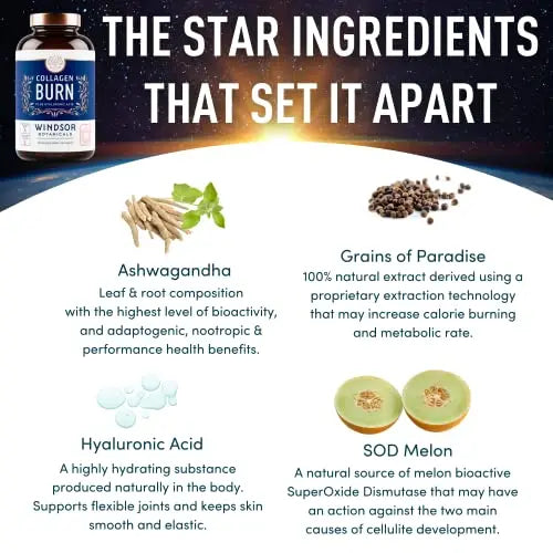 Thermogenic Multi Collagen Burn Capsules - Hydrolyzed Multi Collagen Complex Types WINDSOR BOTANICALS Au supplements