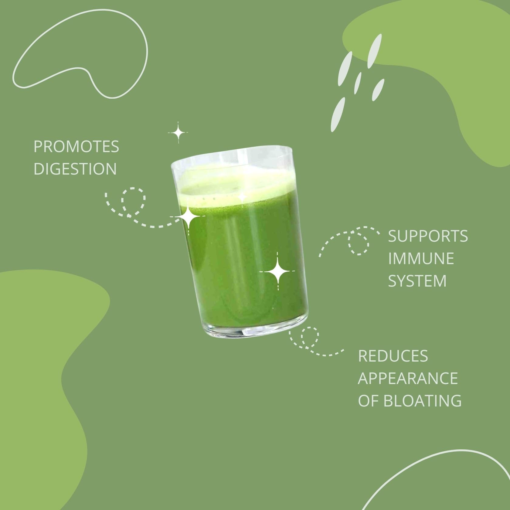 Consult Health Gut-Duction Bloat Control – Gut Health Support Superfood Formula – Plant Based Proteins - Probiotics – Powder Drink Mix – 28 Servings – 9.9 oz.