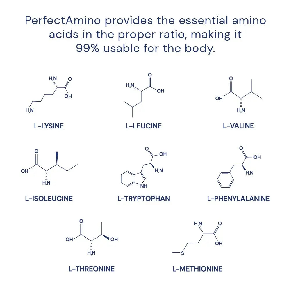 BodyHealth PerfectAmino (150 ct) Easy to Swallow Tablets, Essential Amino Acids Supplement with BCAAs, Vegan Protein for Pre/Post Workout & Muscle Recovery with Lysine BodyHealth Au supplements