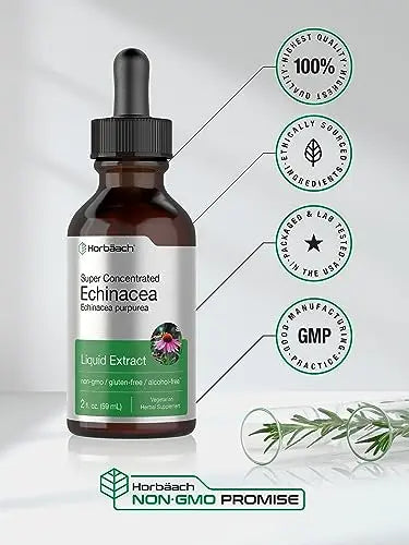 Echinacea Drops Liquid Extract | 2 fl oz | Super Concentrated Tincture | Alcohol Free Horbäach Au supplements