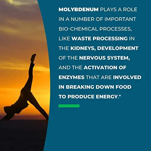 Seeking Health Molybdenum 500, Molybdenum Glycinate Chelate Supplement Seeking Health Au supplements