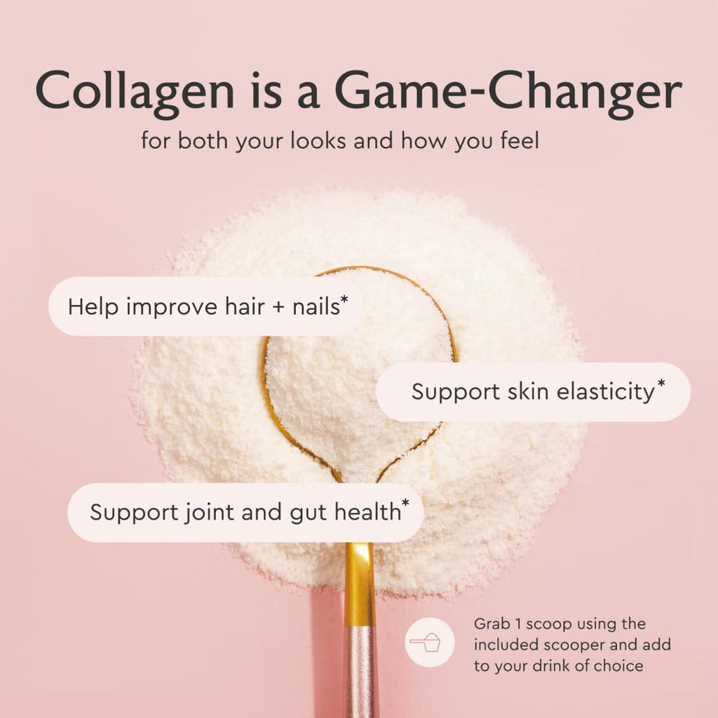Alaya Multi Collagen Powder - Type I, II, III, V, X Hydrolyzed Collagen Peptides Protein Powder Supplement with MSM
