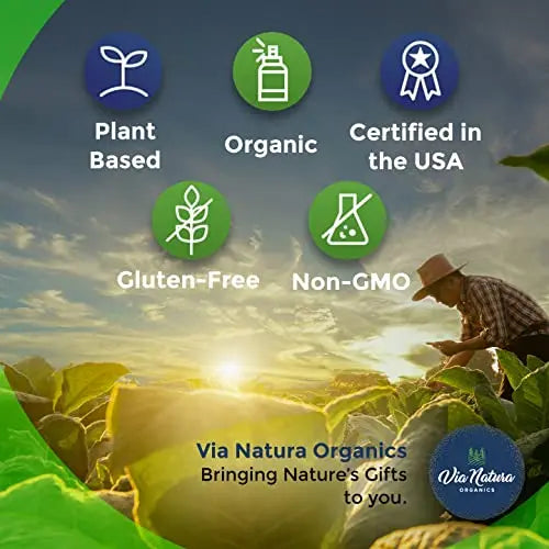 Via Natura Organics Apple Cider Vinegar Capsules 1000mg | Organic Herbal Supplement Via Natura Organics Au supplements