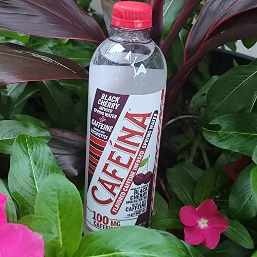 Cafeina - Naturally Flavored Black Cherry Caffeinated Spring Water (12 Pack) - 100mg Caffeine CAFEINA Au supplements