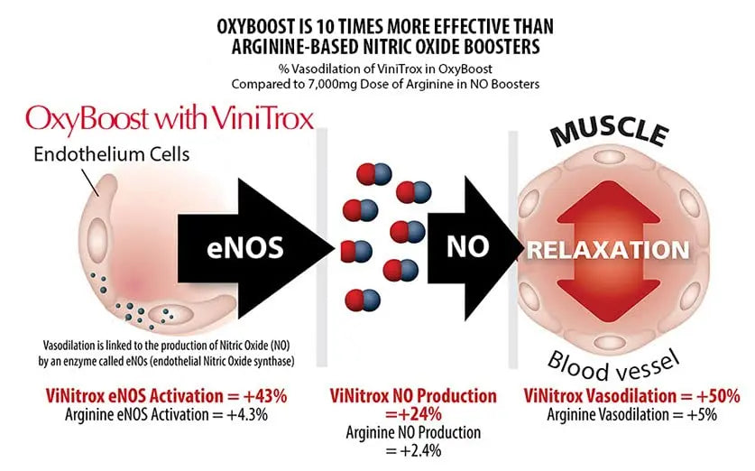 OxyBoost with ViNitrox - Nitric Oxide Supplement for Blood Pressure Support, Heart Health OxyNaturals Au supplements