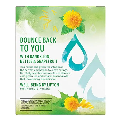 Lipton Green Tea Bags, Herbal Supplement for Detox, 15 Count (Pack of 4) Lipton Au supplements