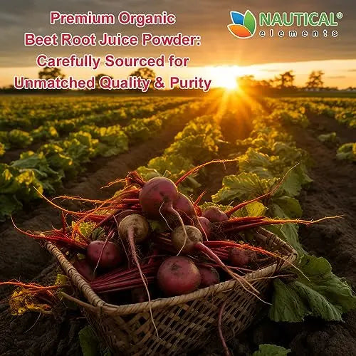 Beet Juice Powder Organic - Cold Pressed - 20:1 Concentrate - Concentrated Beet Root Nautical Elements Au supplements