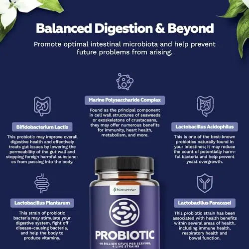 Colon Health Probiotic and Prebiotic Capsules - Gut Health Prebiotics and Probiotics Bio Sense Au supplements