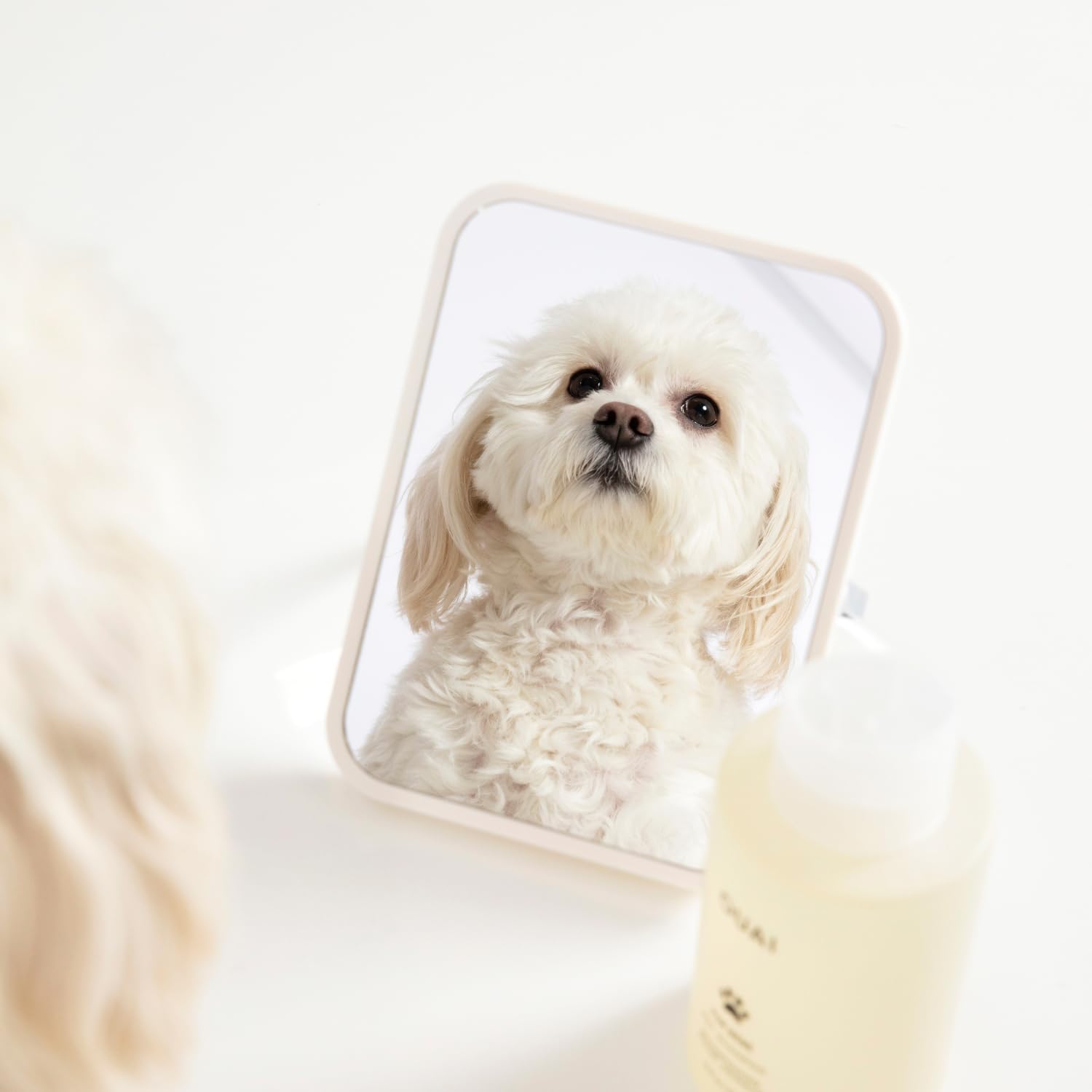 OUAI Fur Bébé Pet Shampoo, Mercer Street Scent - Dog Shampoo and Coat Wash for Hydrating, Cleansing and Adding Shine - Pet Supplies by OUAI (16 Fl Oz) OUAI Au supplements